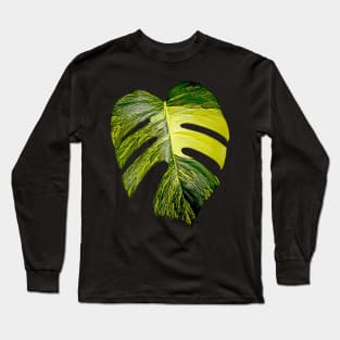 MONSTERA AUREA VARIEGATA Long Sleeve T-Shirt